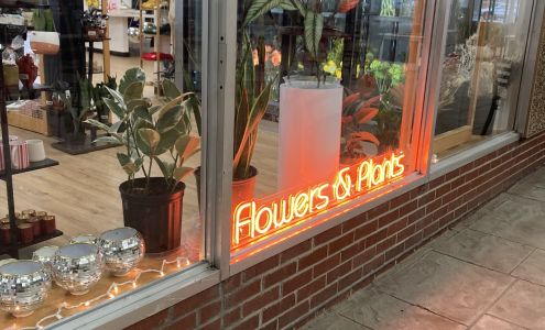 Willow Floral Studios