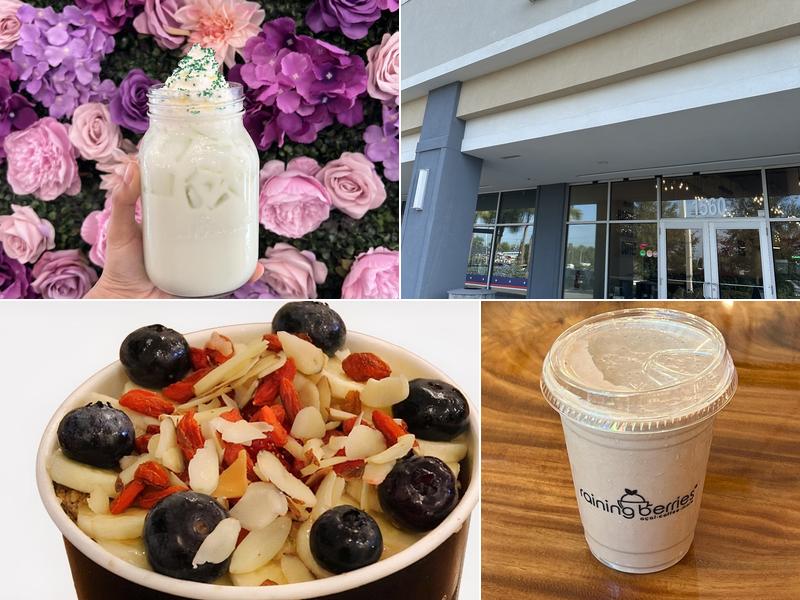 Raining Berries Brandon 1560 W Brandon Blvd, Brandon