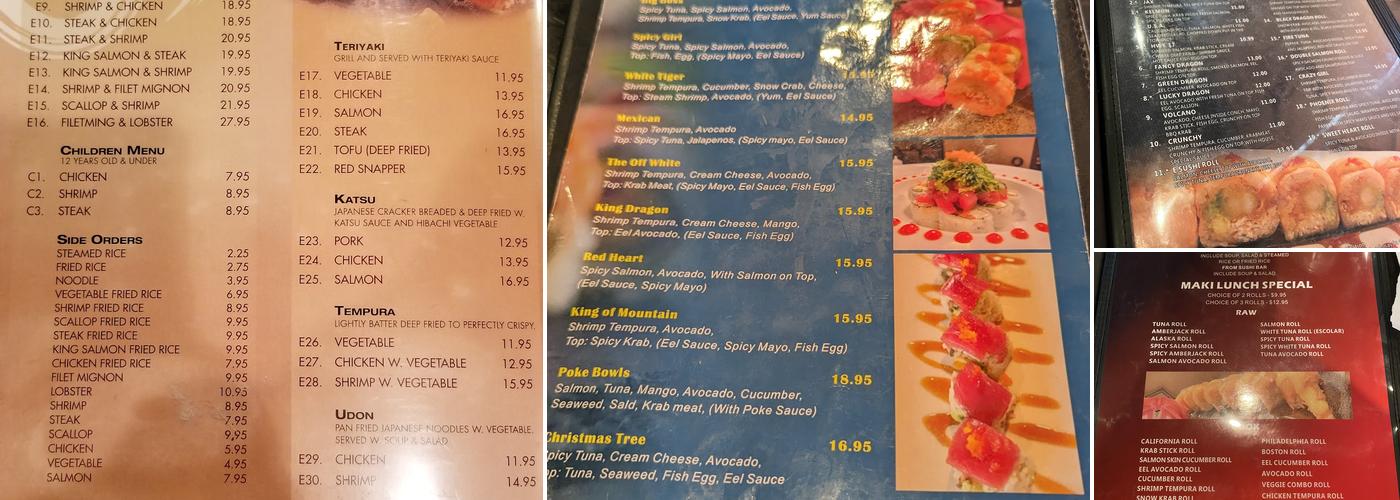 E Sushi Japanese Restaurant Menu