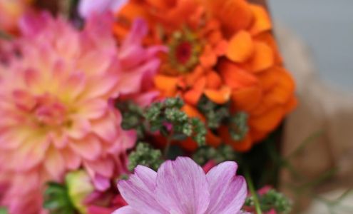 SUOT Farm and Flowers