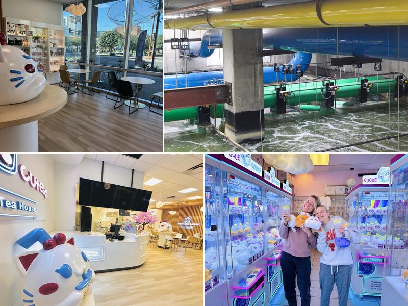 Boba Cucue Bubble Tea Cafe - Phoenix downtown