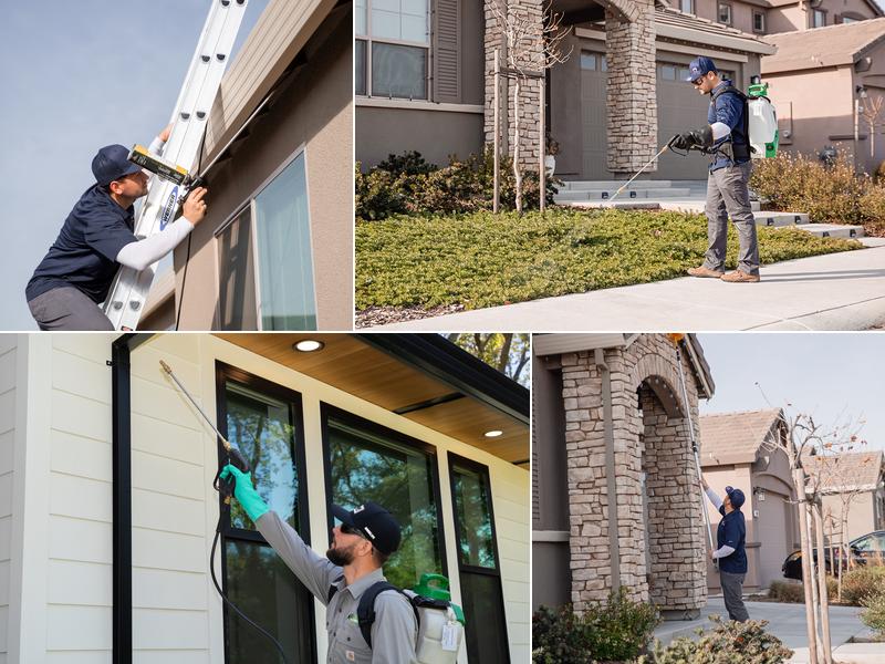 Good Life Pest Solutions