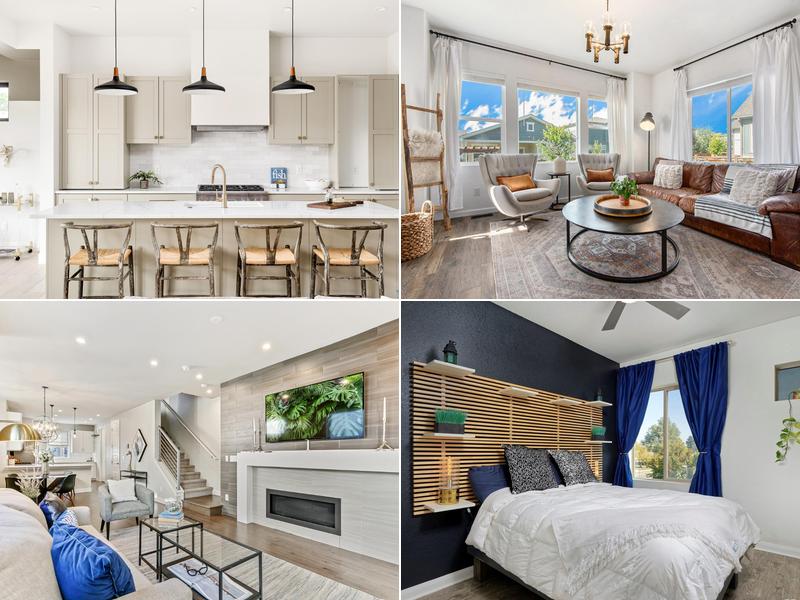 LUX Denver Real Estate Company