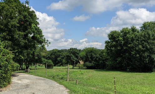 Daily Crisis Farms White Hall