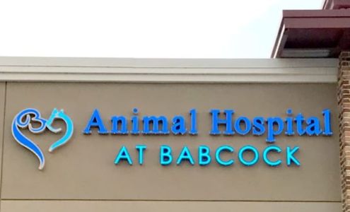 Animal Hospital at Babcock