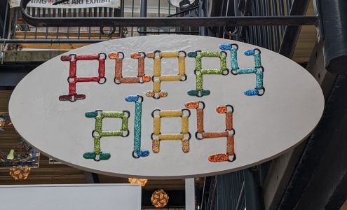 Puppy Play Ptown Provincetown