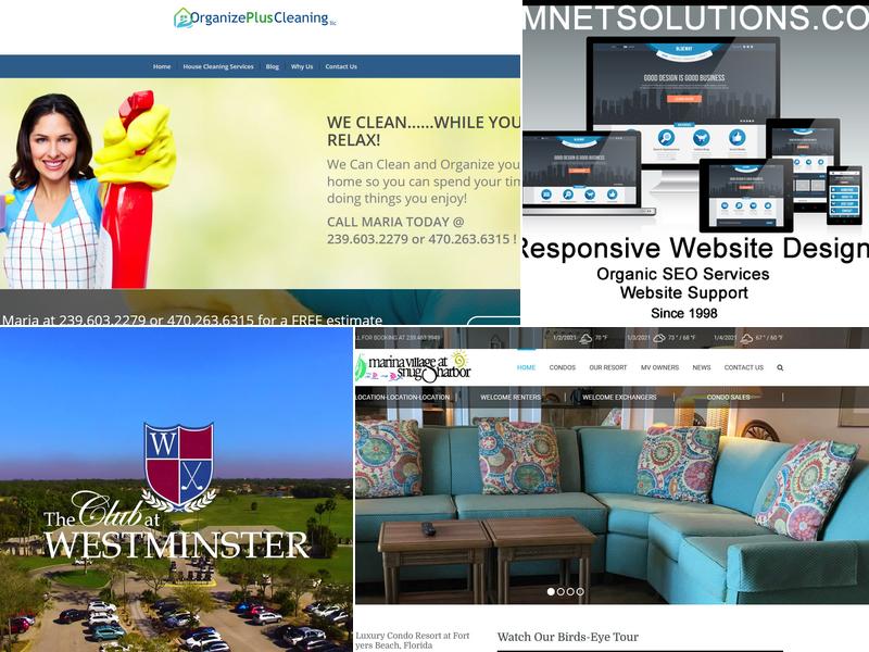 DMNet Solutions Web Design Company