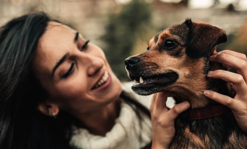 PetInsuranceQuotes.com