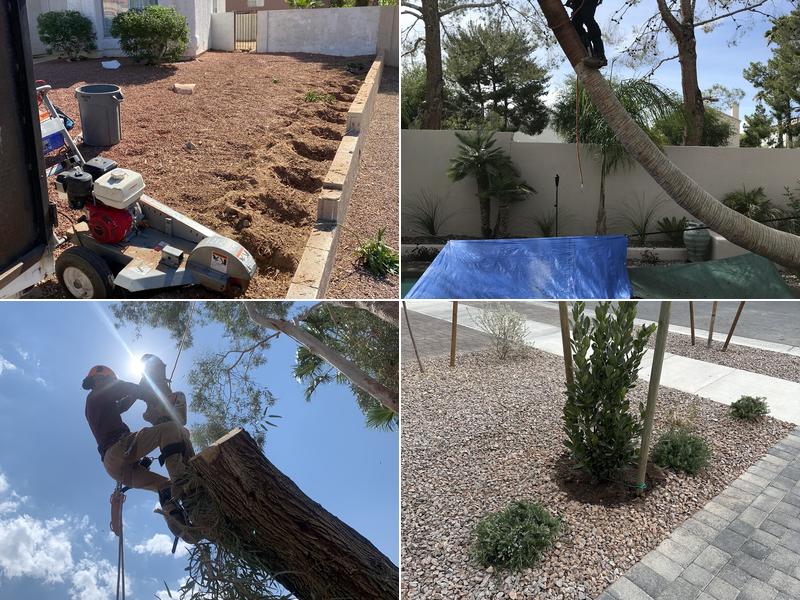 Duranchi Tree Service