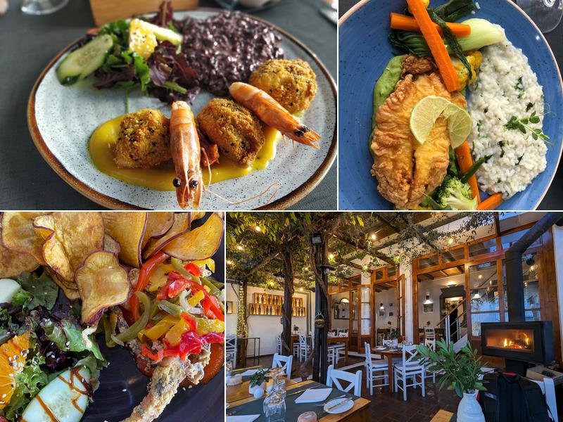 Lusitania R. Dr. Frederico Ramos Mendes 65