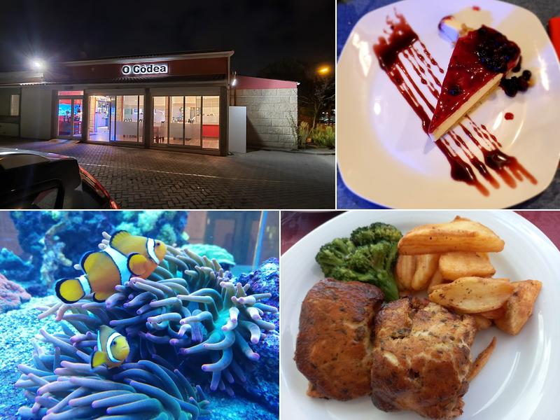 O Côdea (Restaurante O Côdea, Lda.)