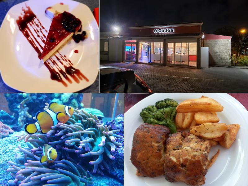 O Côdea (Restaurante O Côdea, Lda.)