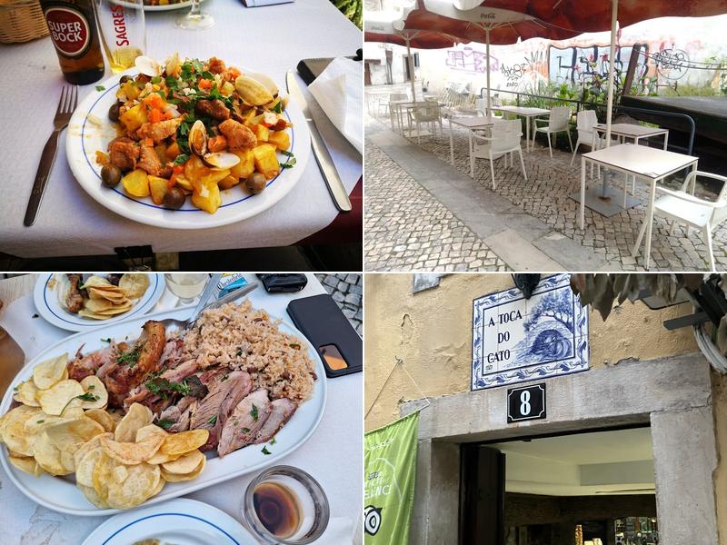 Toca do Gato - Prato do dia