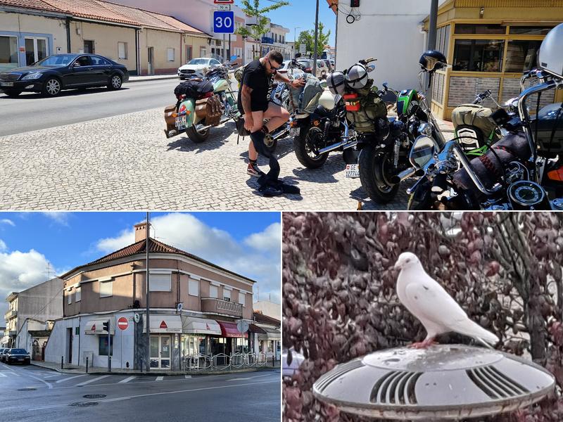 Café Os Lusitanos, Lda.