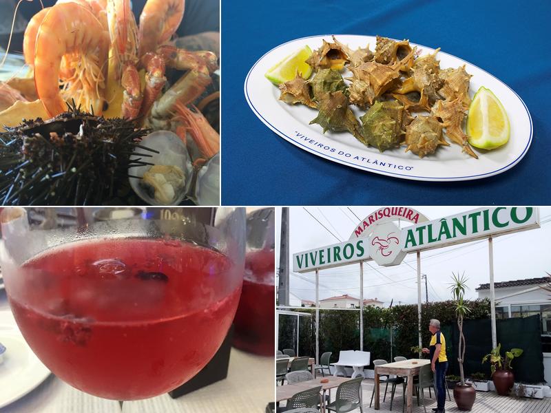 Viveiros do Atlântico