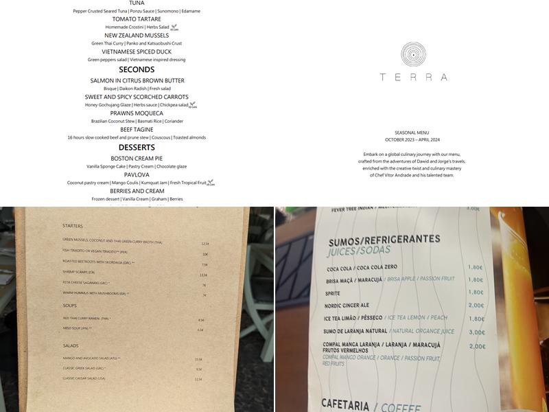 TERRA - Food Concept Menu
