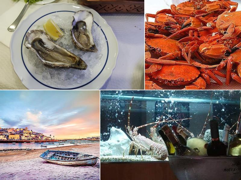 cervejaria marisqueira a gare