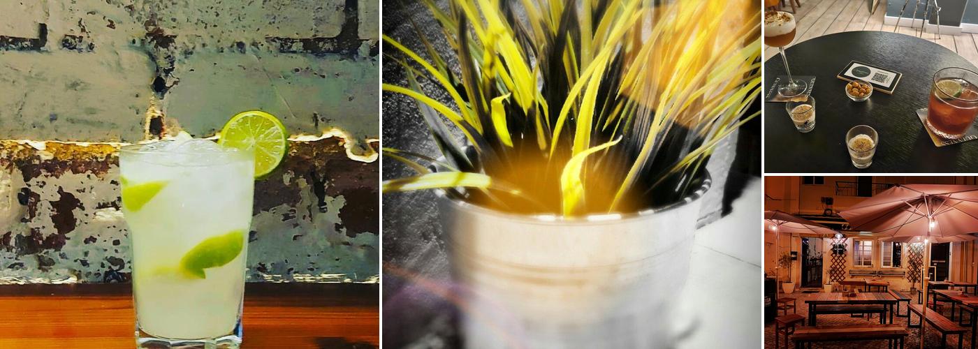 Copofonia Seixal (Copophonia Bar)