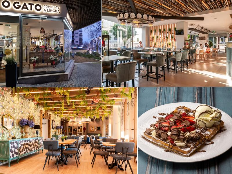 O Gato Comeu-te a Língua