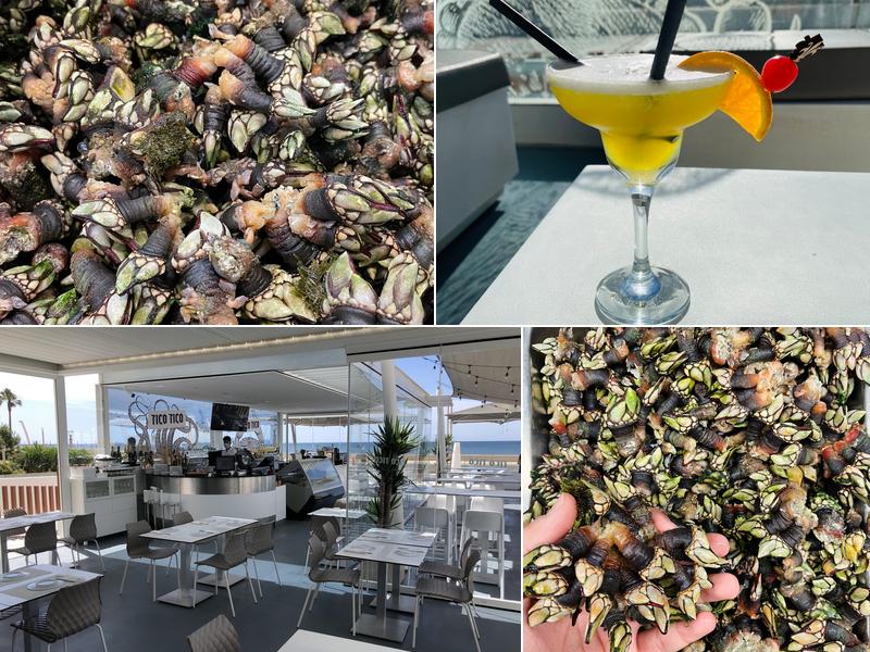 Tico Tico (Tico Tico Algarve)