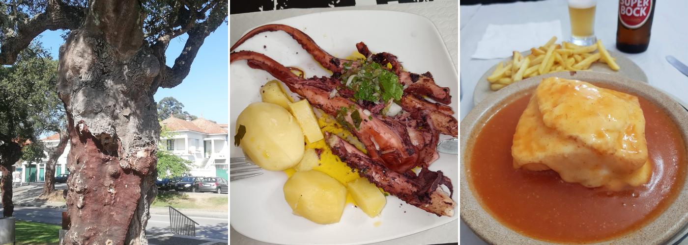 Adega Santo António