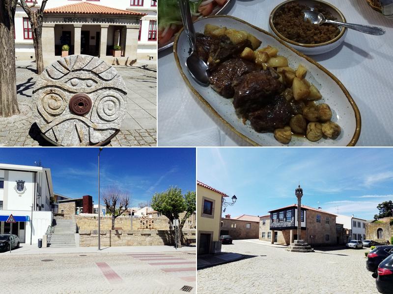 Flora R. Dr. Oliveira Serrão 1