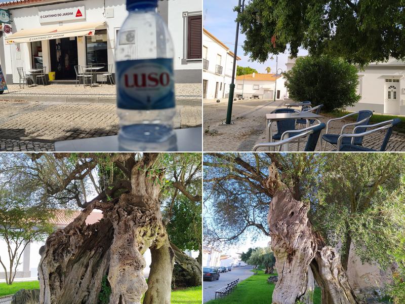 O Cantinho do Jardim