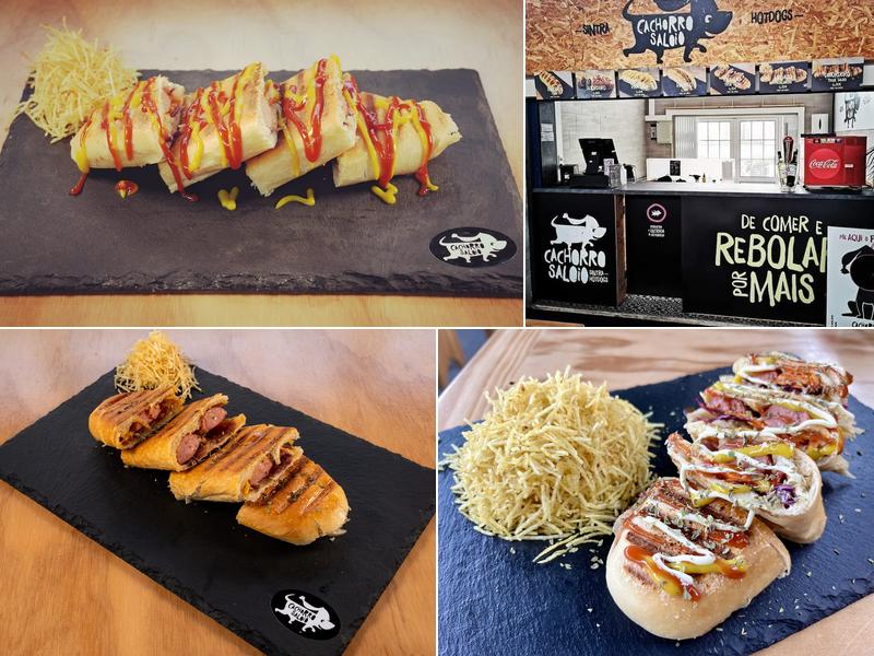 Cachorro Saloio R. Tomé de Barros Queirós 6