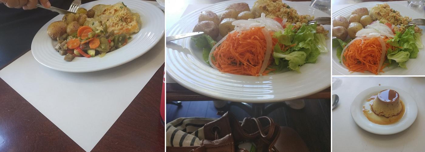 Speed Grill Churrasqueira