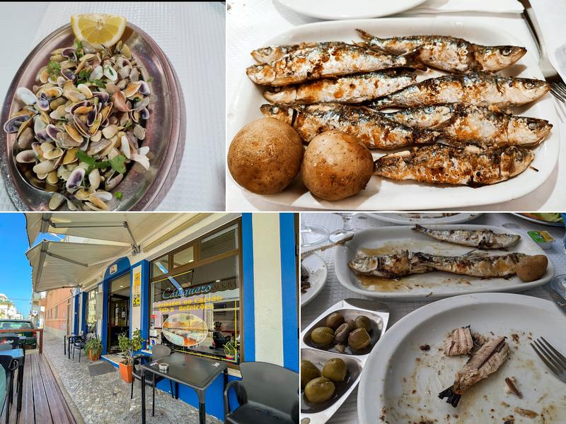 CateQuero R. do Exército 43