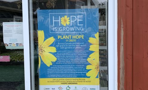 Pat?s Plants & Gardens Bay Bulls