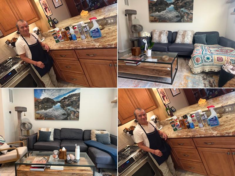 Sagittarius Cleaning LLC