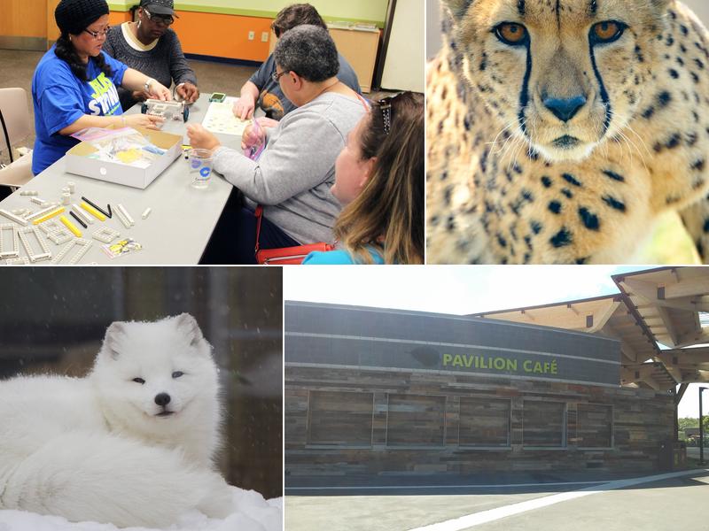 Pavilion Café at Indianapolis Zoo