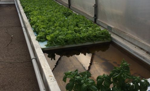 YWAM Colorado Springs