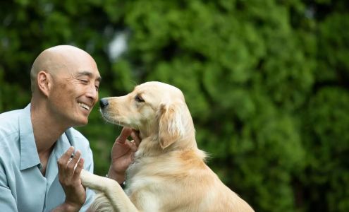 Dogpaw Studio Nonprofit Website Design