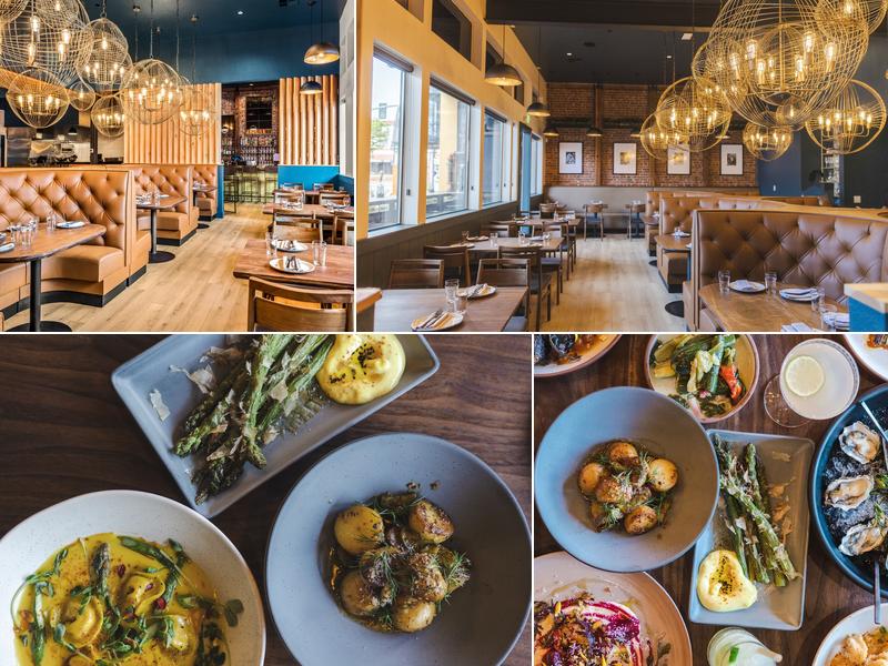 Goldfinch 119 S Main St, Sebastopol