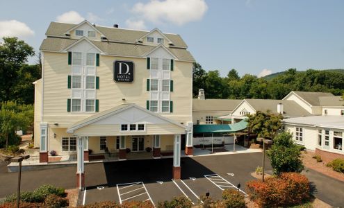 D. Hotel Suites & Spa