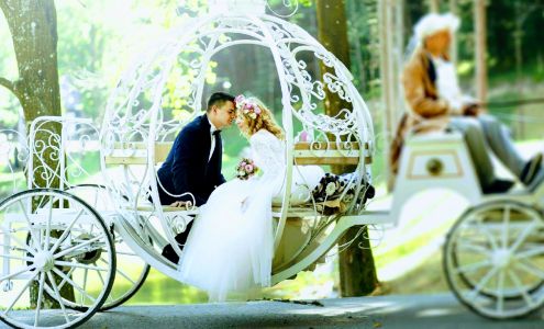 Wedding World - Officiant Minister