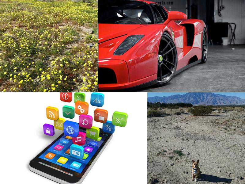 Wirefreesoft Web Design