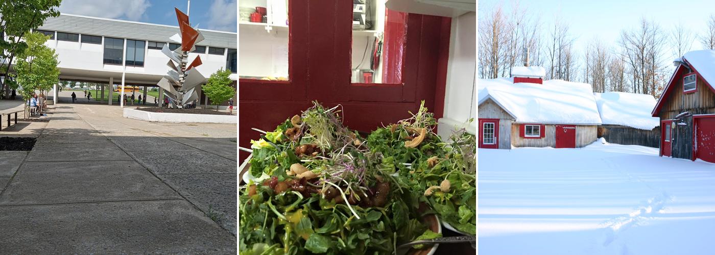 Erabliere La Soupiere Enr