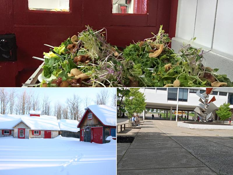 Erabliere La Soupiere Enr