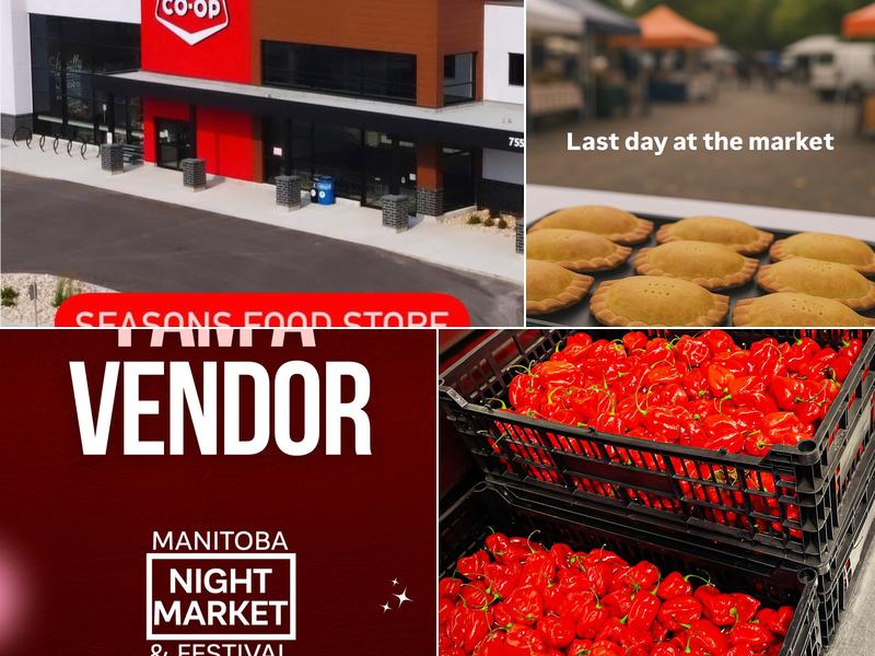 Mama B's Jamaican Patties