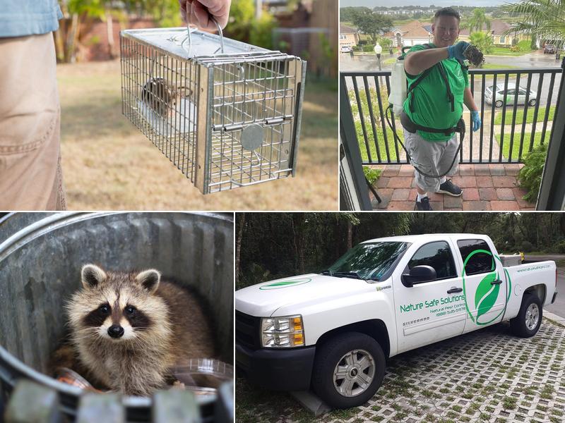 Nature Safe Solutions