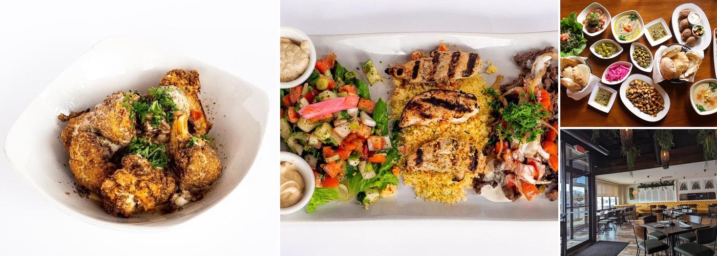Taza - a Lebanese Grill Rocky River