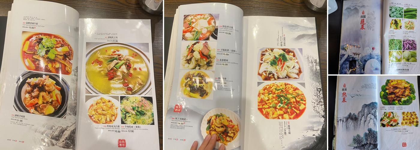 Szechuan Chef Chinese Cuisine Menu