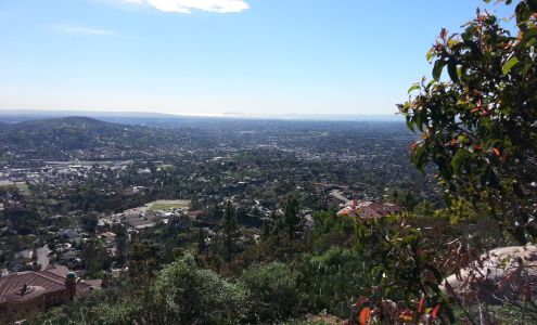 Sammoon Bakery & Restaurant