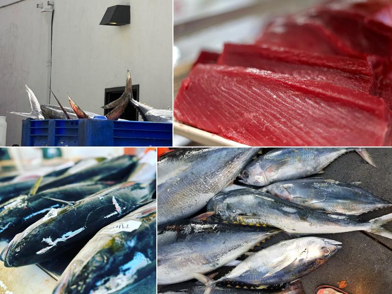 Five Star Fish Processing