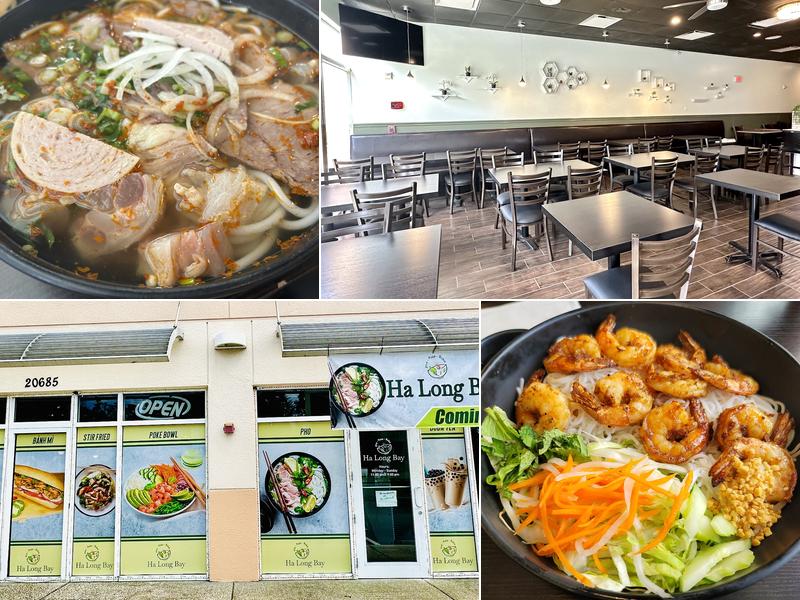 Ha Long Bay New Tampa