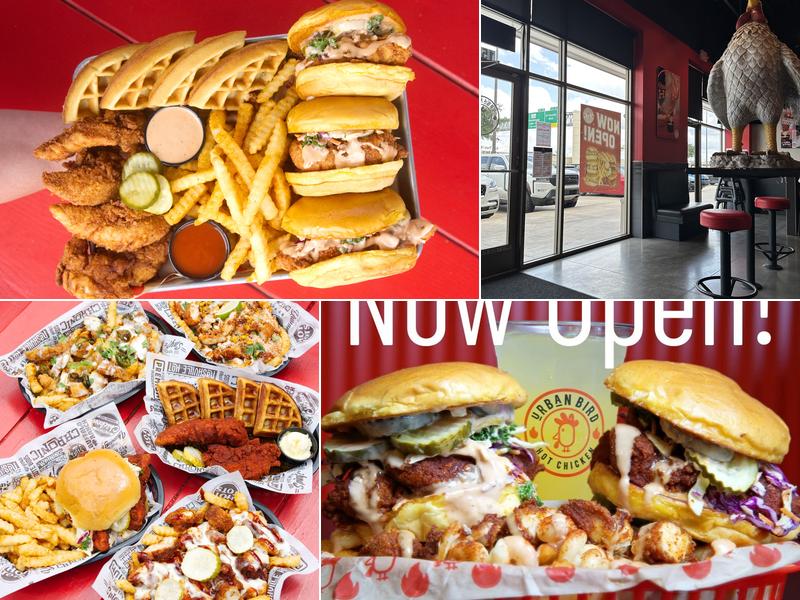 Urban Bird Hot Chicken