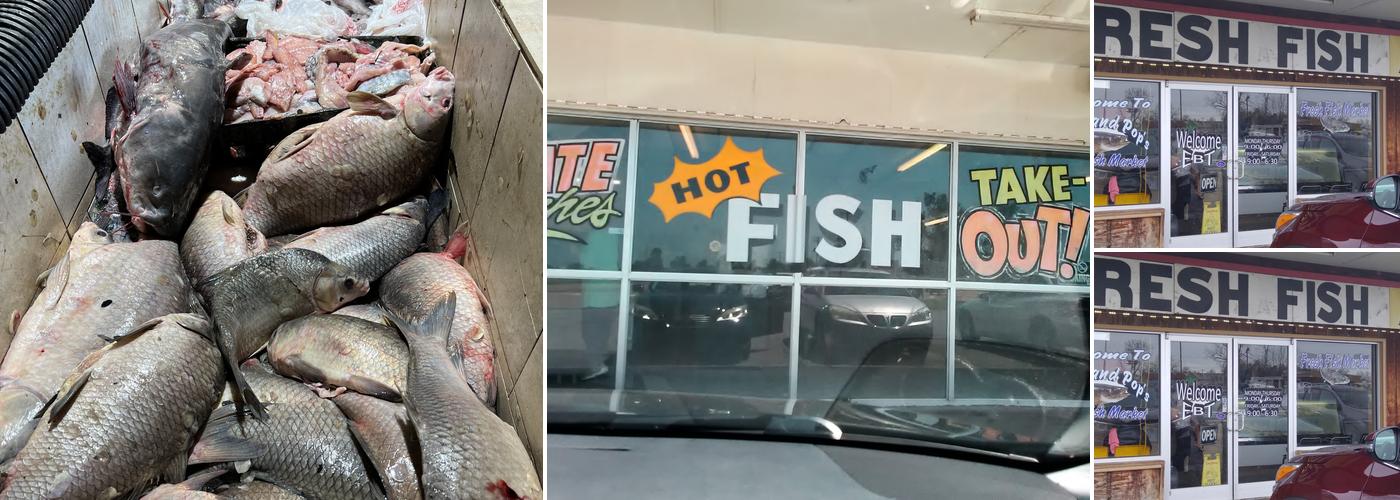 Wade-N-Pop's Fish Market